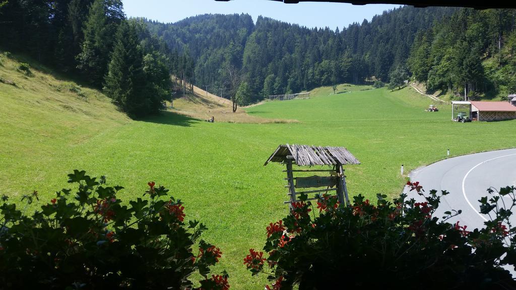Brunarica Bled Zatrnik Pokljuka Oda fotoğraf