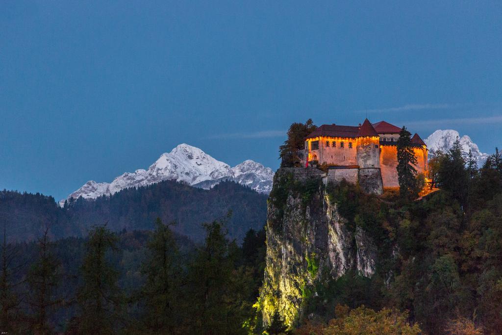 Brunarica Bled Zatrnik Pokljuka Dış mekan fotoğraf
