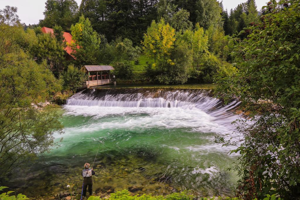 Brunarica Bled Zatrnik Pokljuka Dış mekan fotoğraf