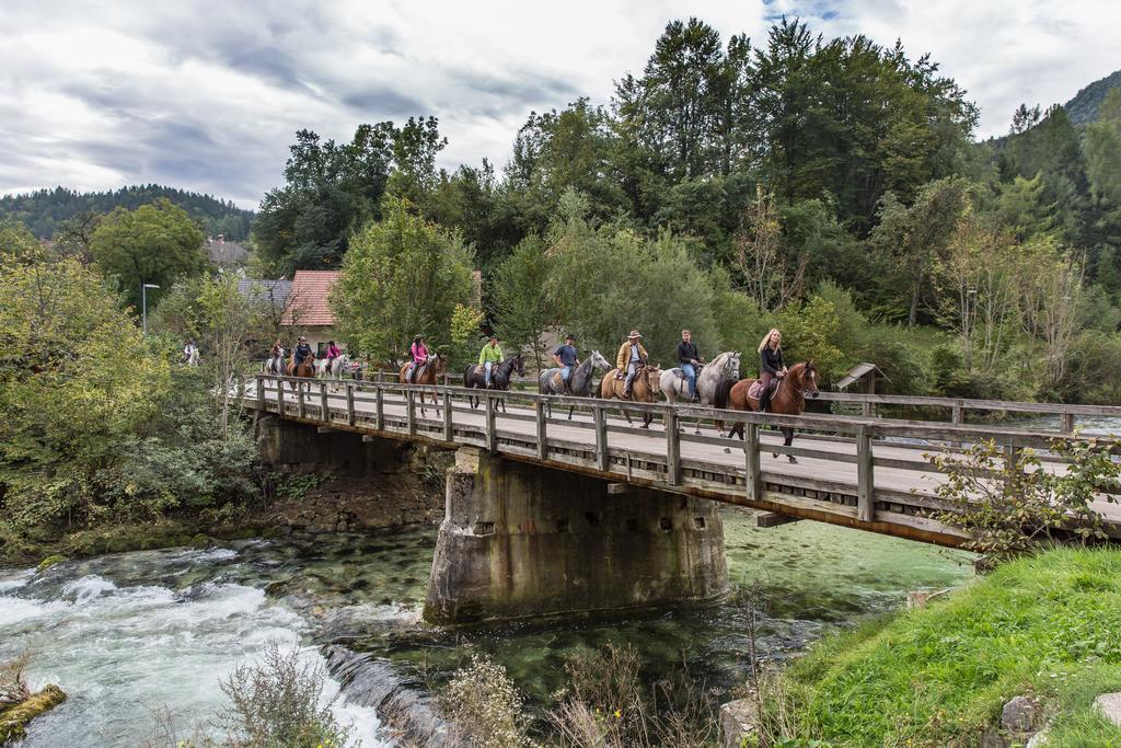 Brunarica Bled Zatrnik Pokljuka Dış mekan fotoğraf
