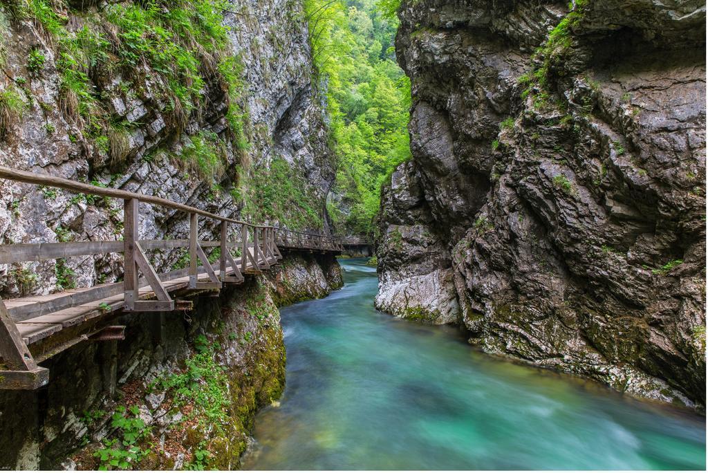 Brunarica Bled Zatrnik Pokljuka Dış mekan fotoğraf