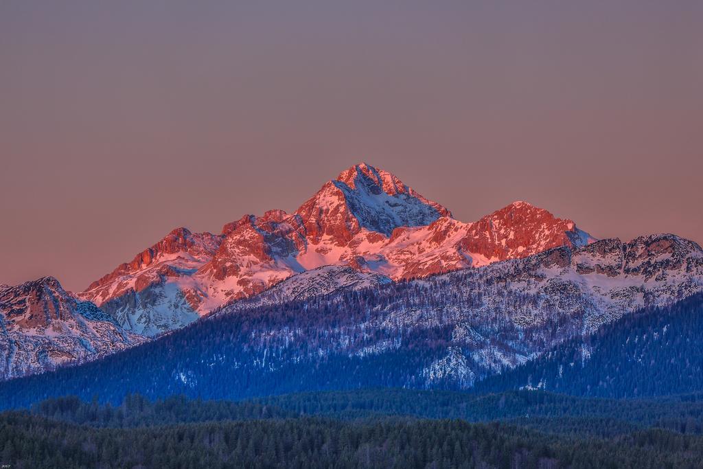 Brunarica Bled Zatrnik Pokljuka Dış mekan fotoğraf