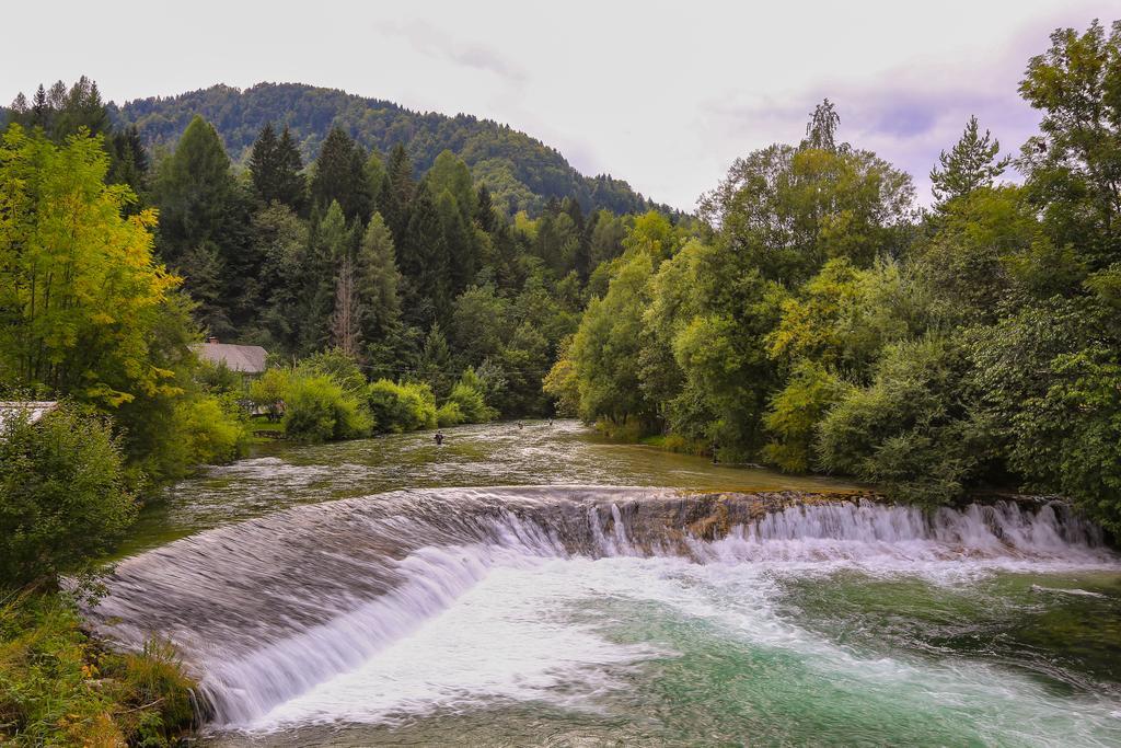 Brunarica Bled Zatrnik Pokljuka Dış mekan fotoğraf